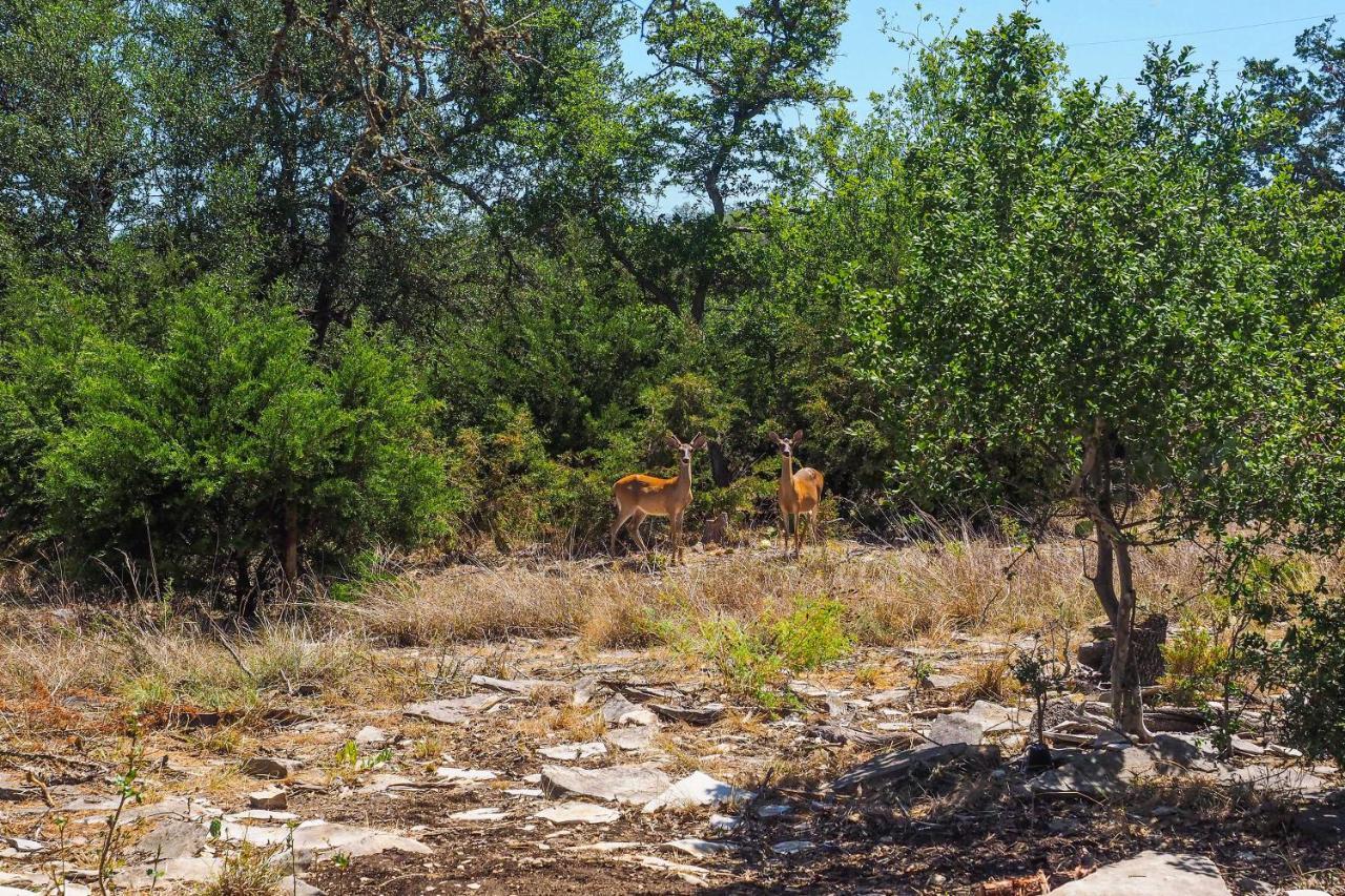Cozy Kerrville Guest Cottage Near Guadalupe River! 外观 照片